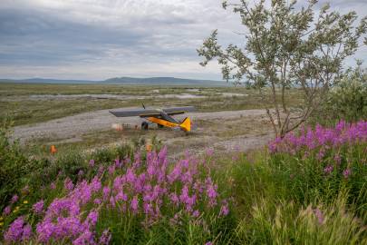 Out at the Silvertip Aviation lodge