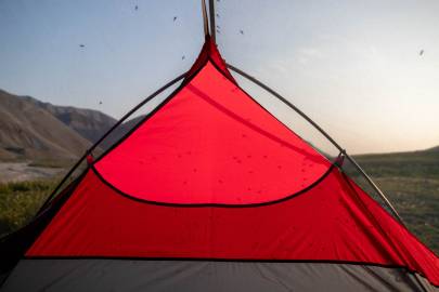 Zach's corpse got moved to a tent and the mosquitoes want him. Mosquitoes in ANWR. Yep, there are a few.