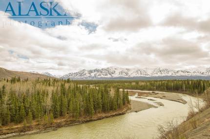 Looking down on the Jack River from the Alaska Railroad.