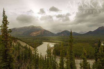 The Nenana River after it's joined by the Yanert Fork.