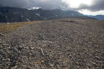 Most likely a caribou bone