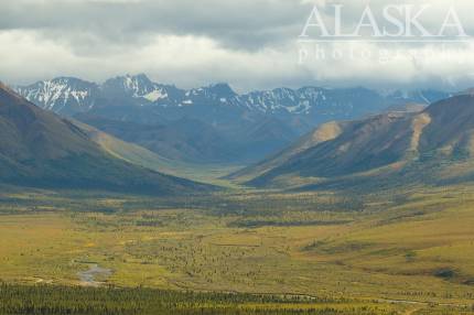 Looking up where Savage River heads from and where Jenny Creek flows in to it, from Savage Alpine Trail.