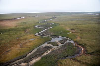 A tributary to the Sadlerochit River before it enters the Arctic Ocean. USGS Public Domain.