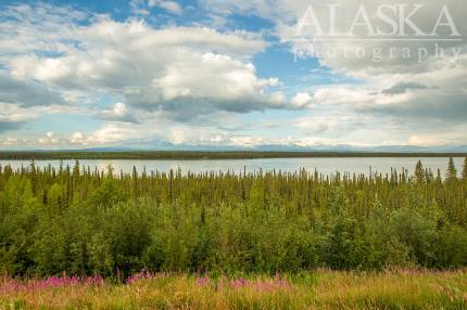 Looking across Willow Lake at the Wrangell Mountains.